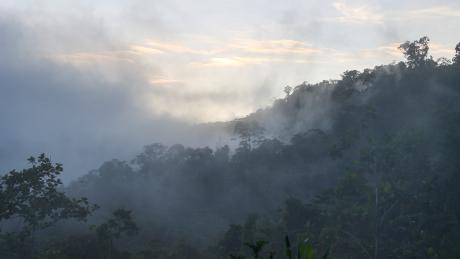 landscape remote PNG