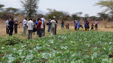 James Lomuget's vegetable farm