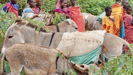 Photo by Paula Alderblad