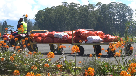 Veggies being transported to the plane