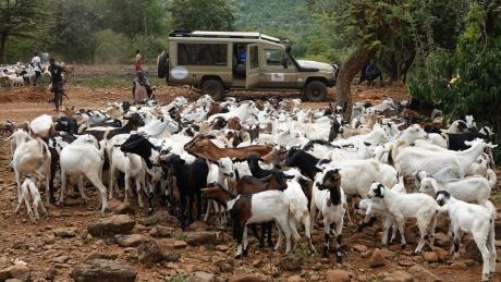 Photo by Hillim Gitonga