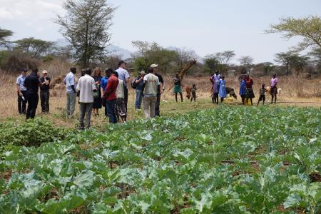 James Lomuget's vegetable farm
