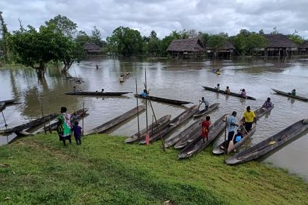 Canoes parking on the Sepik river bank