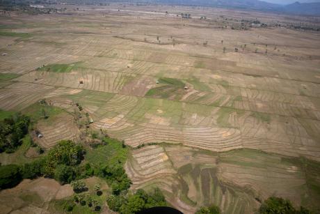 Rice paddies and fields viewed from the air