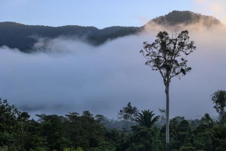 landscape remote PNG