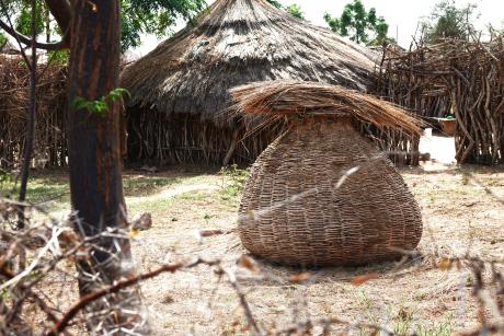 A barn in a homestead in Napak