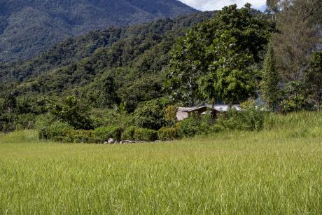 A small village store by an airstrip