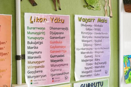 Vocabulary charts on wall