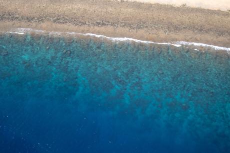 A beach and reef seen from the air