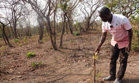 Raoul Leno, the Vice Coordinator of projects and supervisor for CODAPA in the Kissidougou area.