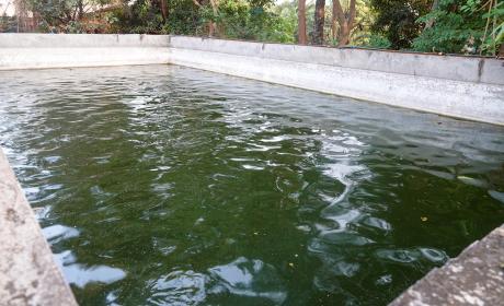 Fish pond of Mr François Tamba Soumbadouno