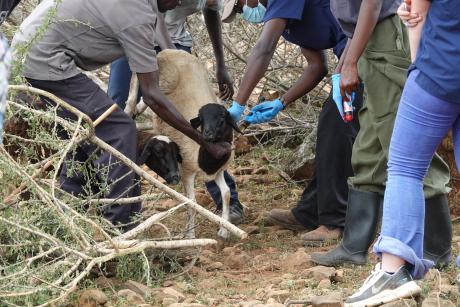 Photo by Hillim Gitonga