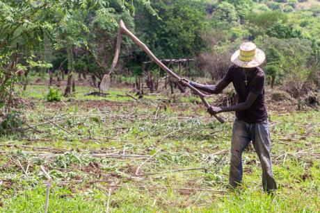 Agriculture Ministry with the Lopit